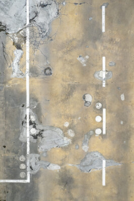 Sebastian Bühler Photography