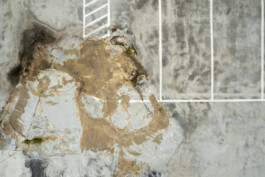 Sebastian Bühler Photography