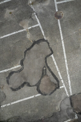 Sebastian Bühler Photography