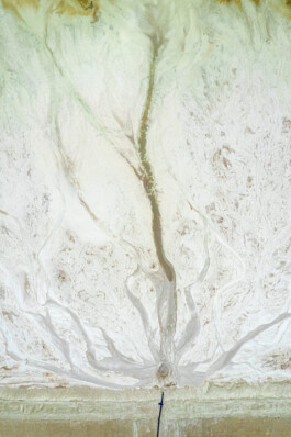 Sebastian Bühler Photography