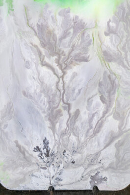 Sebastian Bühler Photography