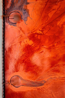 Sebastian Bühler Photography